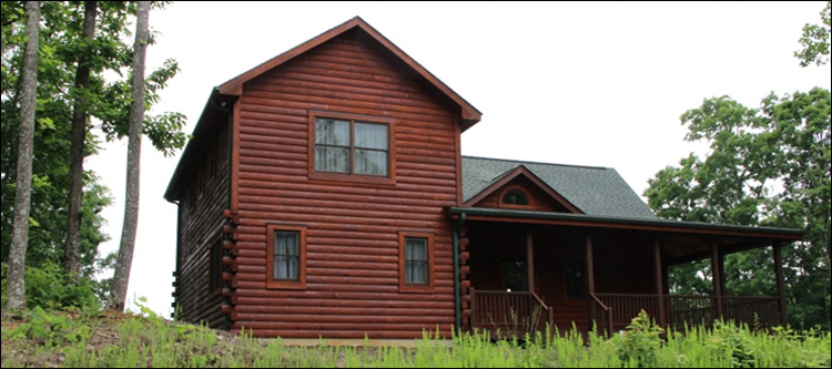 Professional Log Home Borate Application  Fredericksburg, Virginia