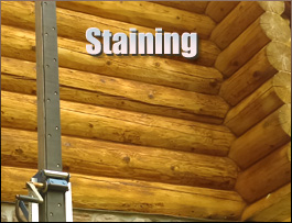  Spotsylvania County, Virginia Log Home Staining